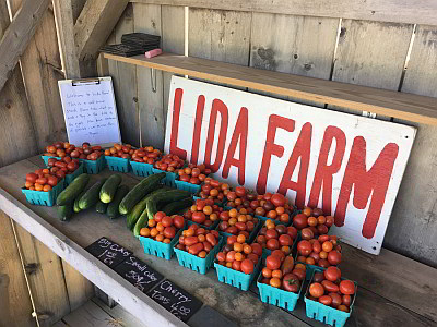 image of Lida Farm stand in Minnesota